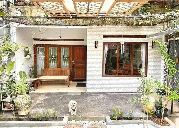 Grandma House In The Village With Back Garden