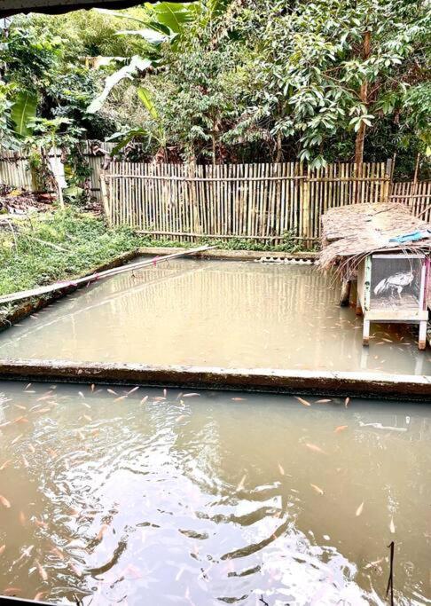 Grandma House In The Village With Back Garden Rumah liburan Bandung