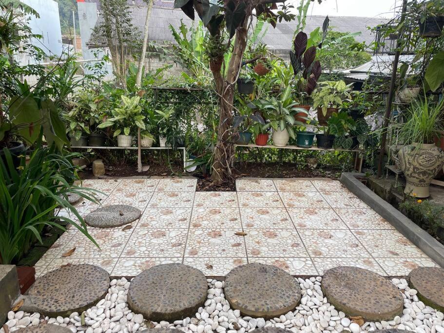 Grandma House In The Village With Back Garden *